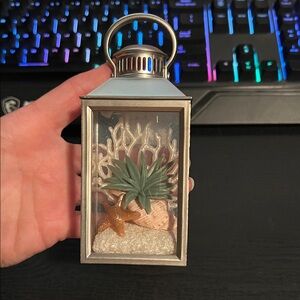 Bath & Body Work Coastal Wallflower Plugin with a Seashell and Succulent